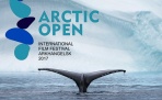 ШОРТ-ЛИСТ конкурсных документальных фильмов фестиваля ARCTIC OPEN в Архангельске